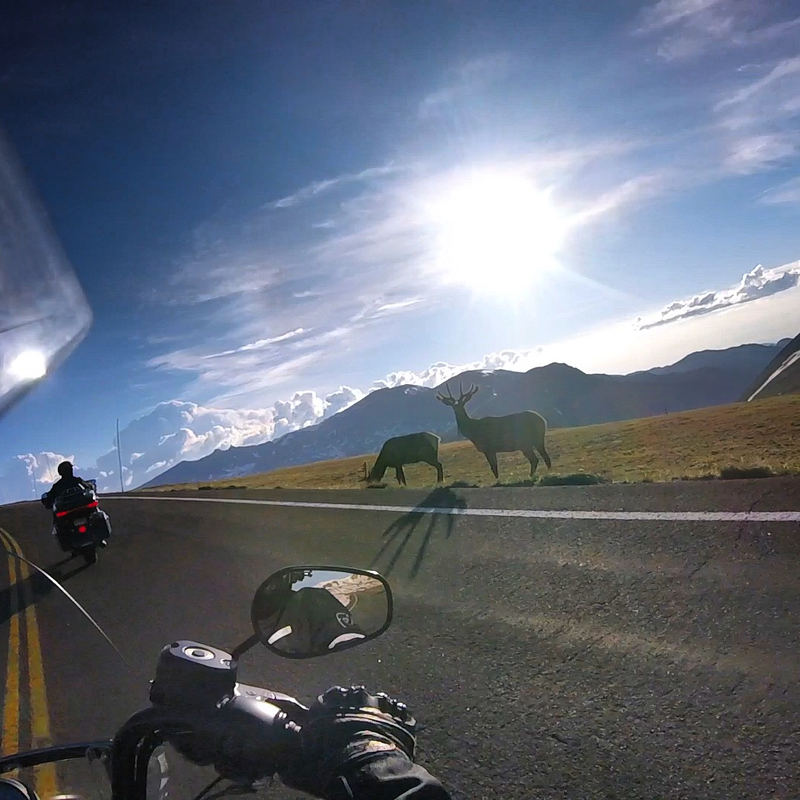 Illustration for article titled Colorado Motorcycle Trip: Days 2 & 3